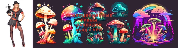 индика Ростов