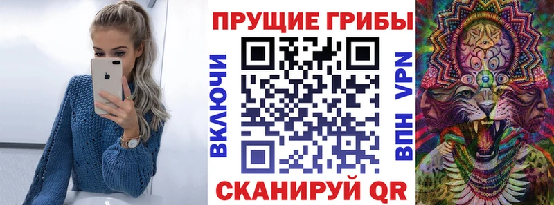 цена   Чусовой  Галлюциногенные грибы прущие грибы 